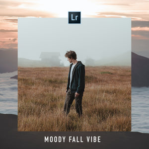 MOODY FALL VIBE | 5 FREE ADOBE LIGHTROOM PRESETS - Hannes Engl